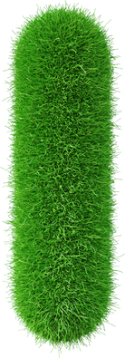 Grass font  I letter Green