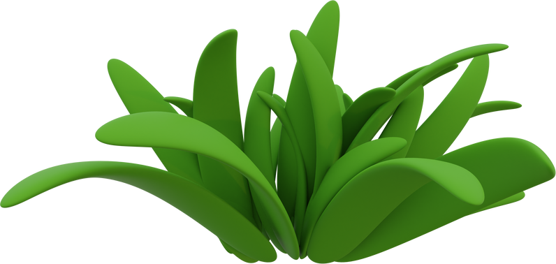 Grass 3D illustration