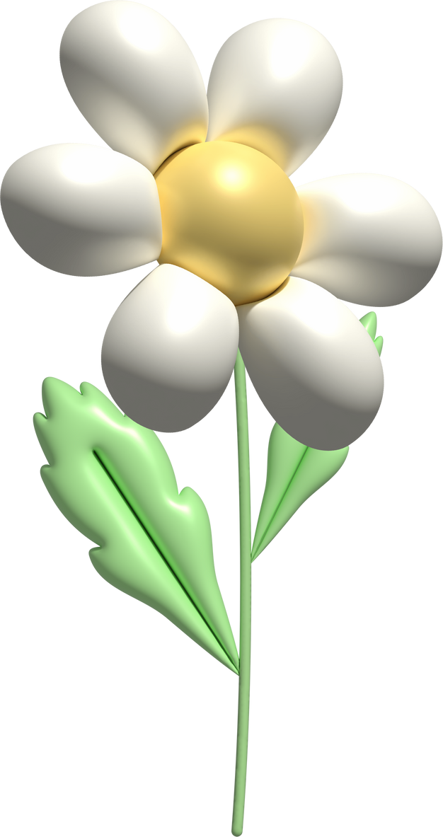 3d White Daisy Flower