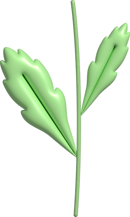 3d Green Daisy Leaf